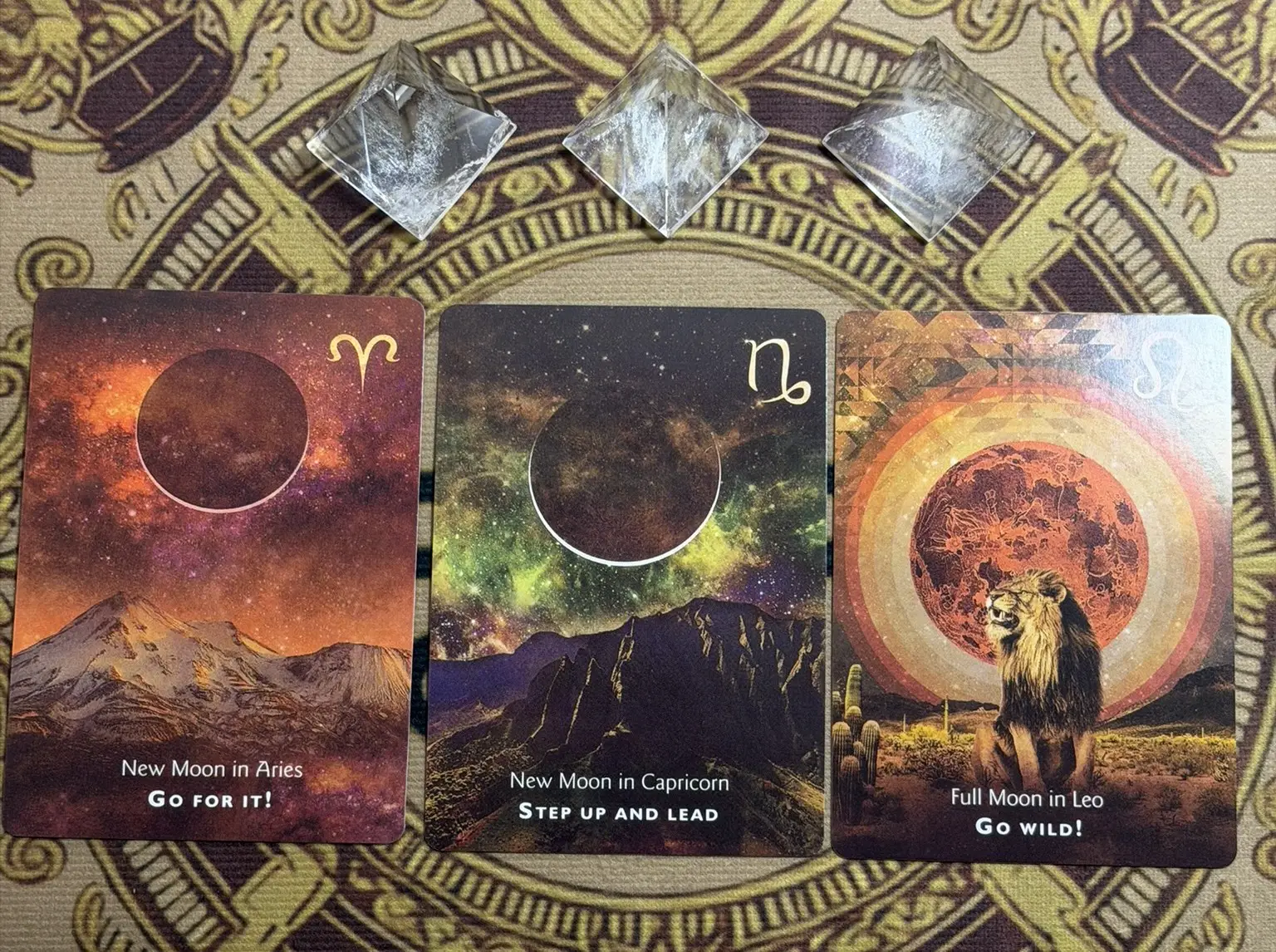 Oráculo árvore da vida Aurum Práxis 4-3